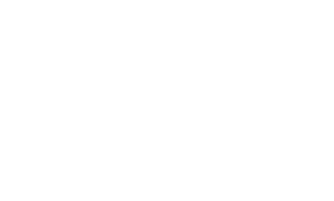 Taragaon Next - Logo WHITE_WHITE