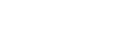 international womens cup
