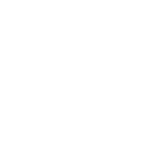 sg logo-