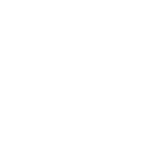 yeti